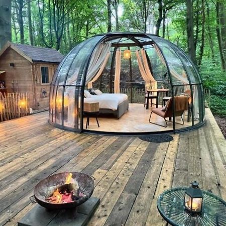 Le Dome De Namur - Une Nuit Insolite Dans Les Bois Eksteriør bilde