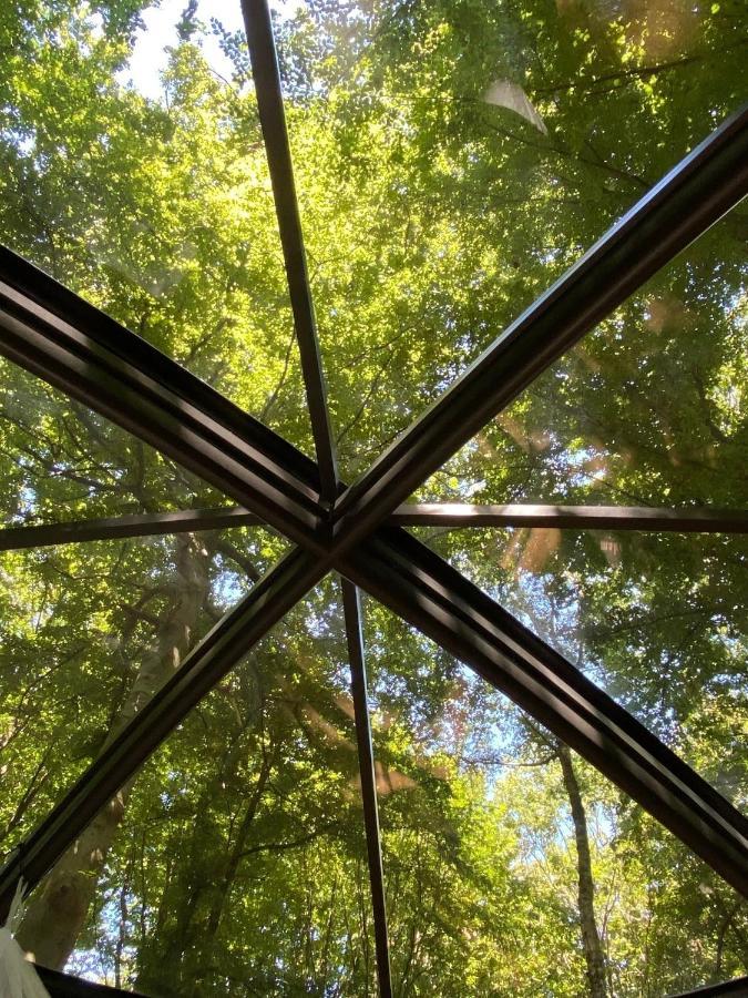Le Dome De Namur - Une Nuit Insolite Dans Les Bois Eksteriør bilde