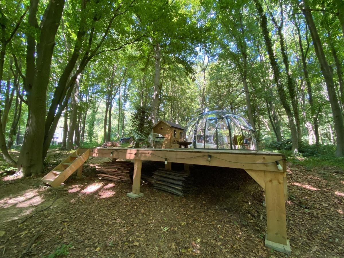 Le Dome De Namur - Une Nuit Insolite Dans Les Bois Eksteriør bilde