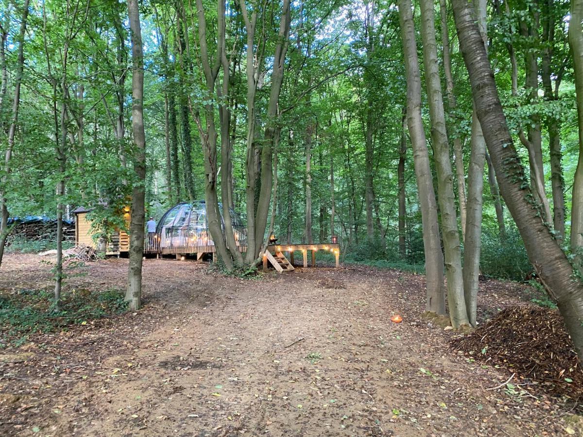 Le Dome De Namur - Une Nuit Insolite Dans Les Bois Eksteriør bilde