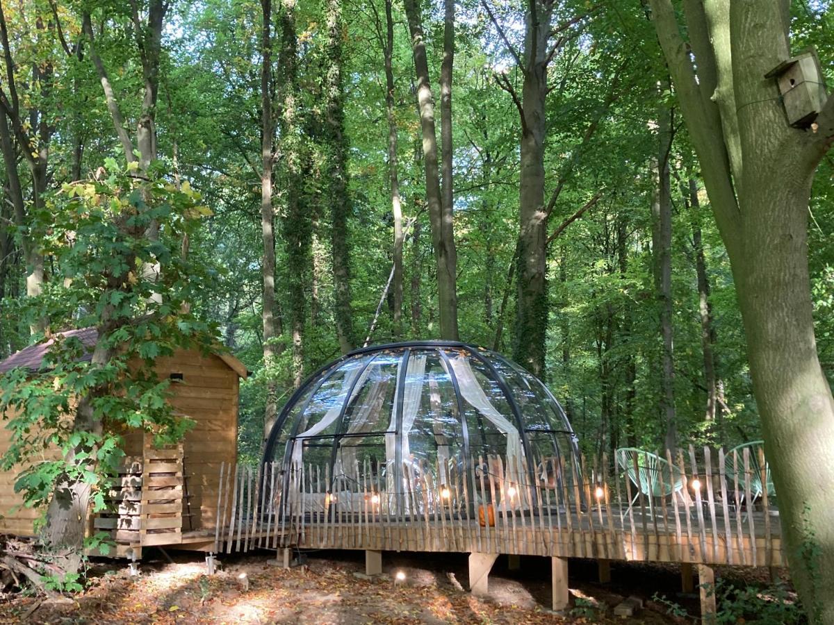 Le Dome De Namur - Une Nuit Insolite Dans Les Bois Eksteriør bilde