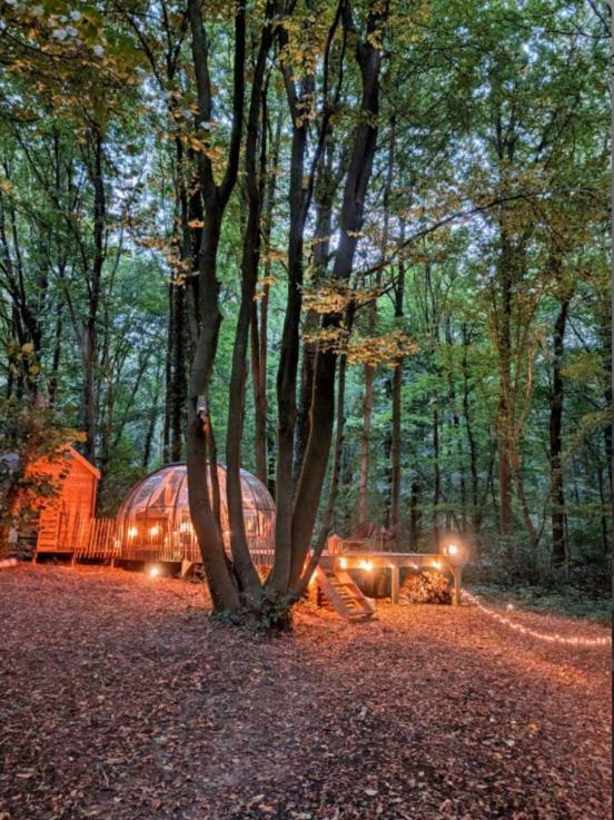 Le Dome De Namur - Une Nuit Insolite Dans Les Bois Eksteriør bilde