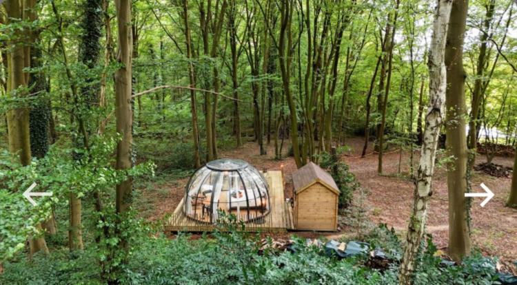 Le Dome De Namur - Une Nuit Insolite Dans Les Bois Eksteriør bilde
