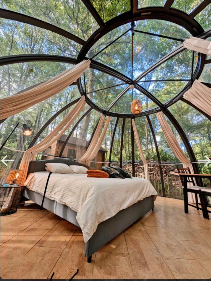 Le Dome De Namur - Une Nuit Insolite Dans Les Bois Eksteriør bilde