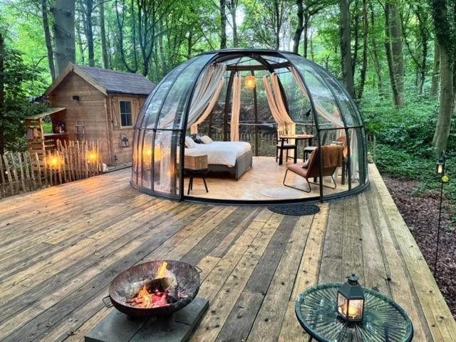 Le Dome De Namur - Une Nuit Insolite Dans Les Bois Eksteriør bilde
